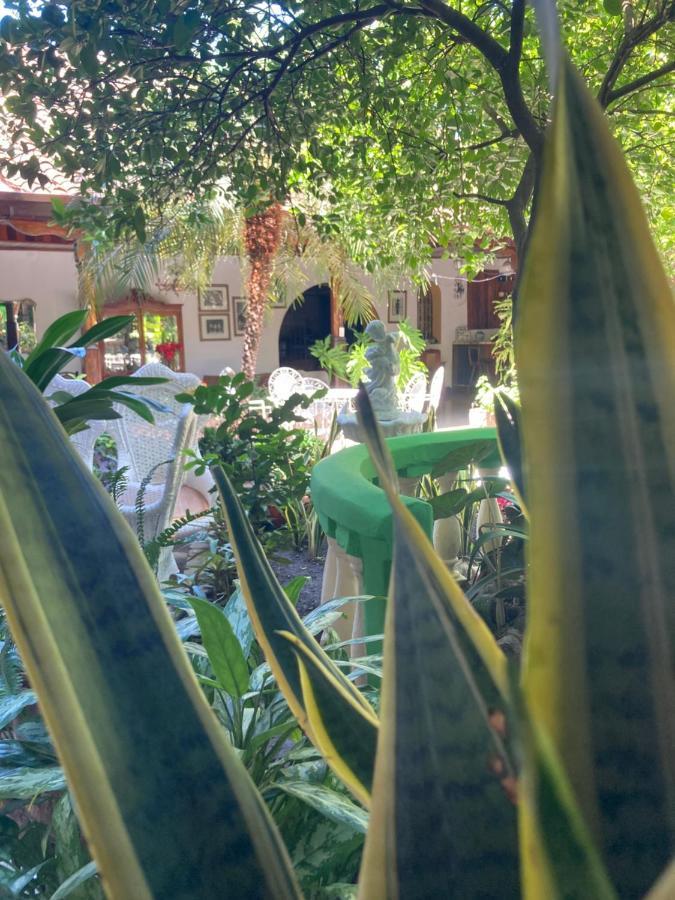 Casadelias Otel Granada Dış mekan fotoğraf